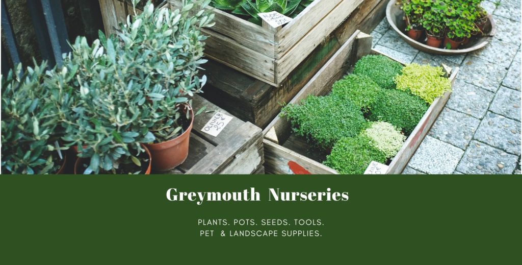 Greymouth Nurseries Greymouth Nurseries for all your garden supplies